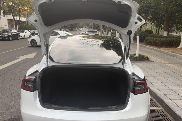 Used Tesla Model 3 2019 Standard Range Rear-Drive Upgraded Version