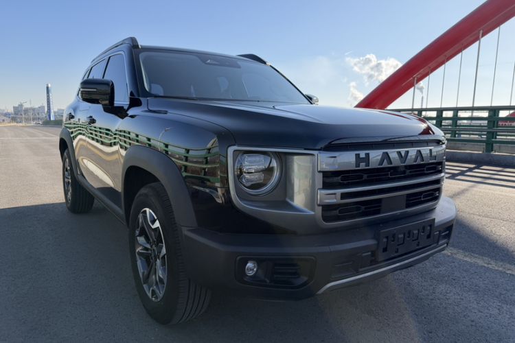 Used Haval DARGO 2024 2.0T DCT Chinese Rural Dog Edition
