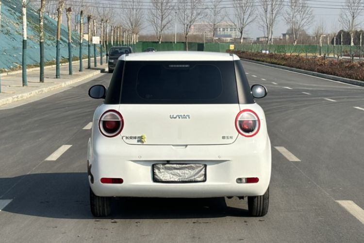 Used Qiyuan Lumin 2023 205km Xiangqin Version
