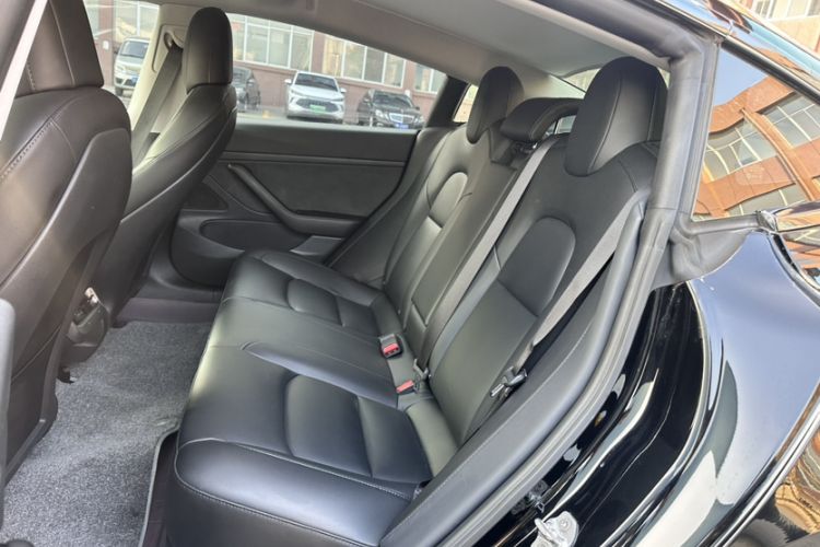 Used Tesla Model 3 2020 Standard Range Rear-Wheel Drive Upgraded Version
