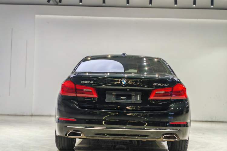 Used BMW 5 Series 2020 530Li Leading Edition Luxury Package
