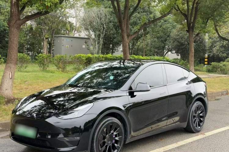 Used Tesla Model Y 2022 Revised Version Rear-Wheel Drive