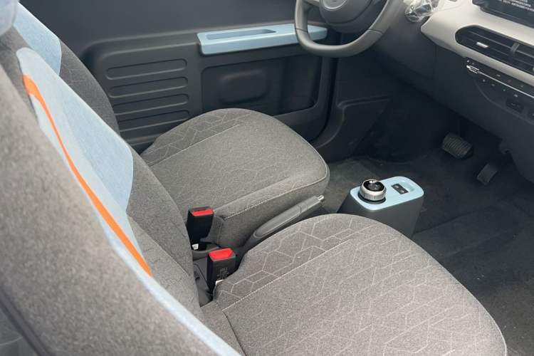 Used  Panda 2024 Panda Mini 200km Endurance Bear
