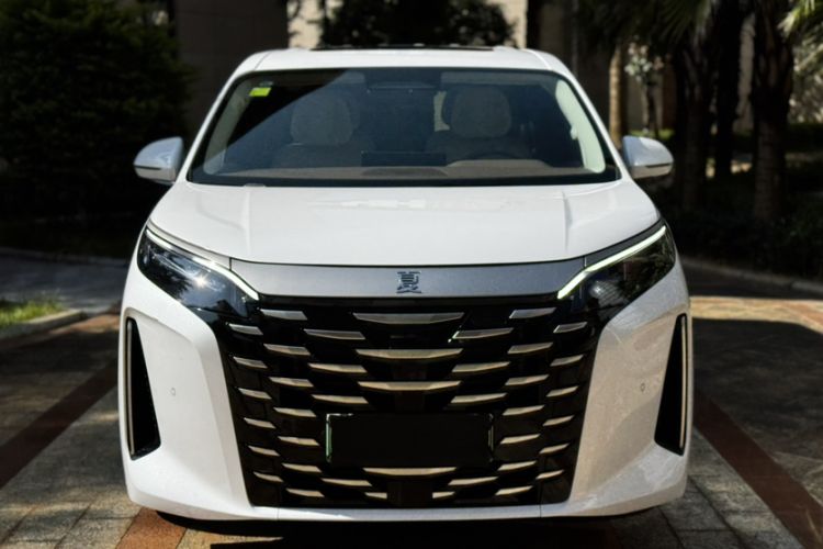 Used BYD Xia 2025 DM-i 1.5T 180km Excellence Model
