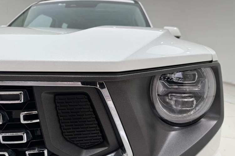 Used Haval  2023 2.0T Two-Wheel Drive Chaoye Version Plus
