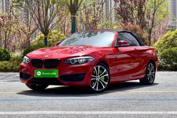 Used BMW 2 Series 2019 225i Convertible Coupe Sports Design Package
