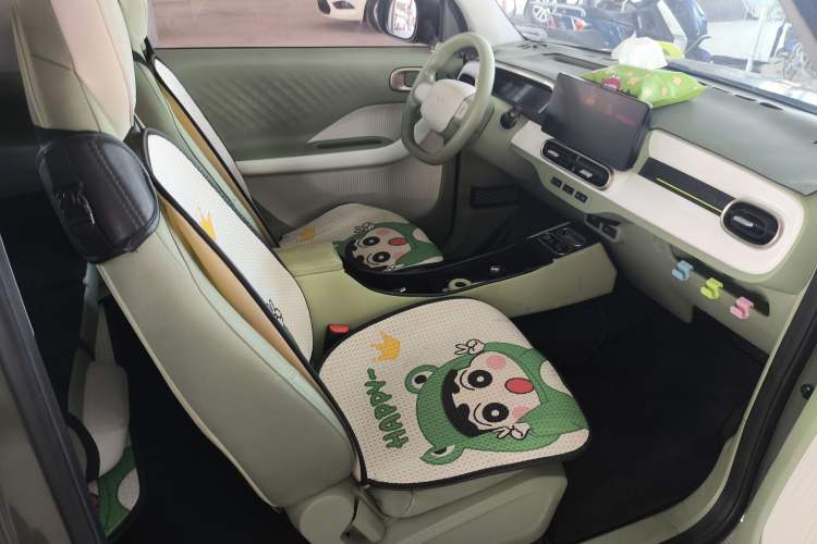 Used  Panda 2024 200km Panda Rider
