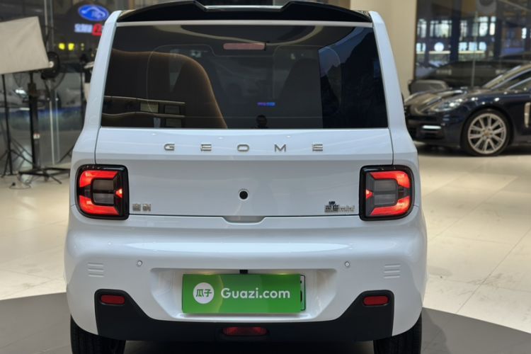 Used  Panda 2024 Panda Mini 200km Endurance Bear
