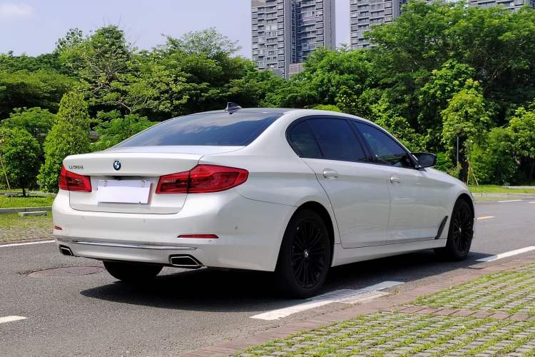 Used BMW 5 Series 2019 530Li Luxury Edition Premium Package
