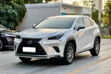 Used Lexus NX 2018 200 Front-Wheel-Drive Xingxing Edition China VI Standard