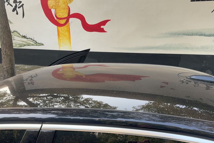 Used BMW 5 Series 2024 525Li Luxury Package
