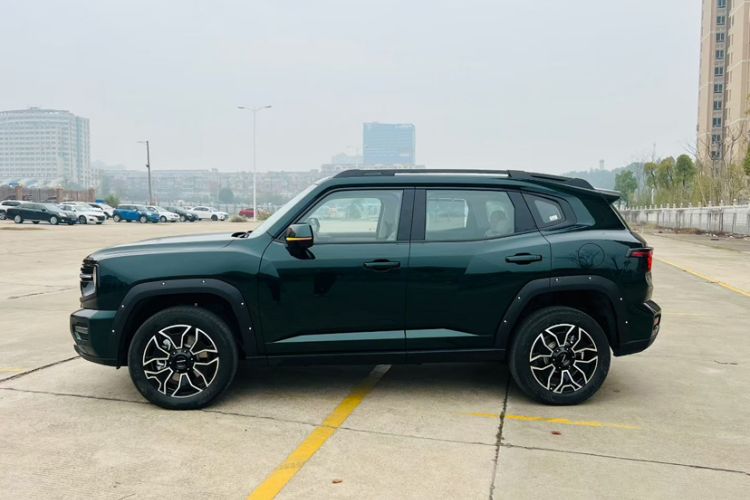 Used Haval H Dog New Energy 
