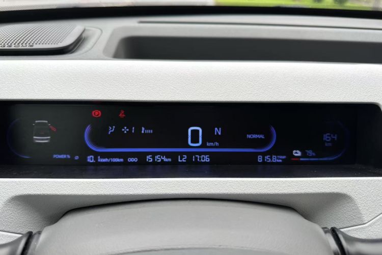 Used  Panda 2024 200km Panda Rider
