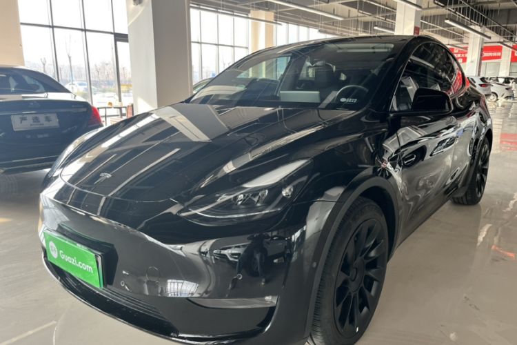 Used Tesla Model Y 2022 Revised Version Long-Range All-Wheel Drive