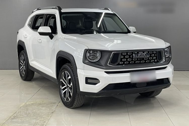 Used Haval  2023 2.0T Two-Wheel Drive Chaoye Version Plus
