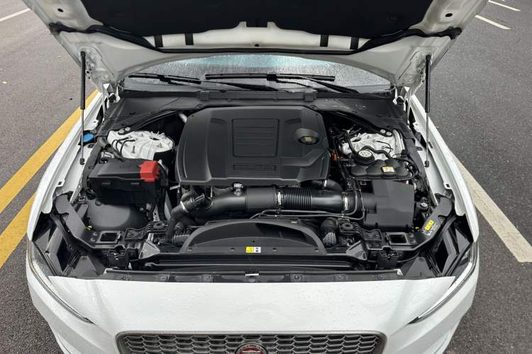 Used Jaguar XEL 2021 2.0T 250 PS S Progressive Elegance Edition
