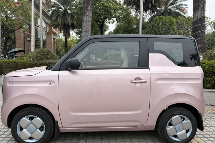 Used  Panda 2023 Panda Mini 200km Endurance Bear
