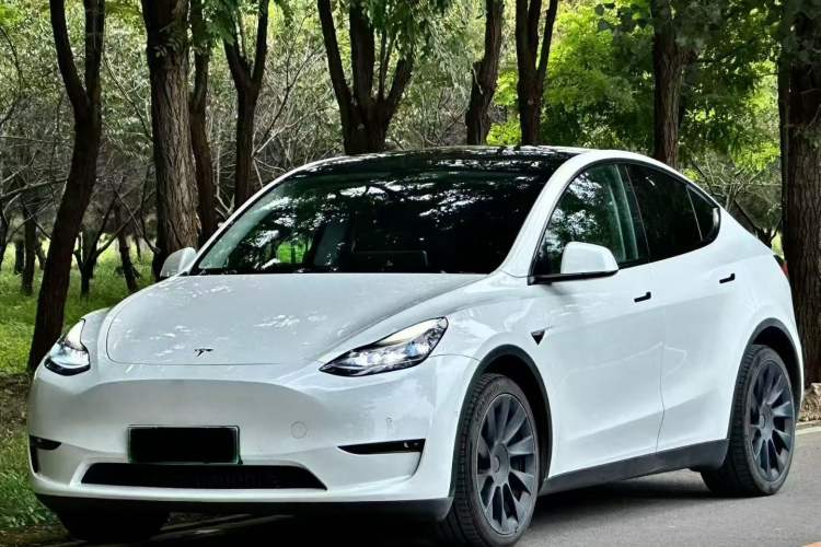 Used Tesla Model Y 2022 Rear-Wheel-Drive Version