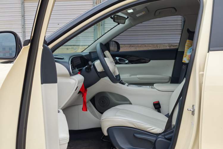 Used  Geome 2025 310km Youth Edition
