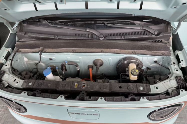 Used  Panda 2024 Panda Mini 200km Endurance Bear
