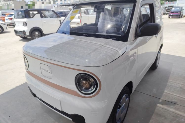 Used  Panda 2024 Panda Mini 200km Endurance Bear
