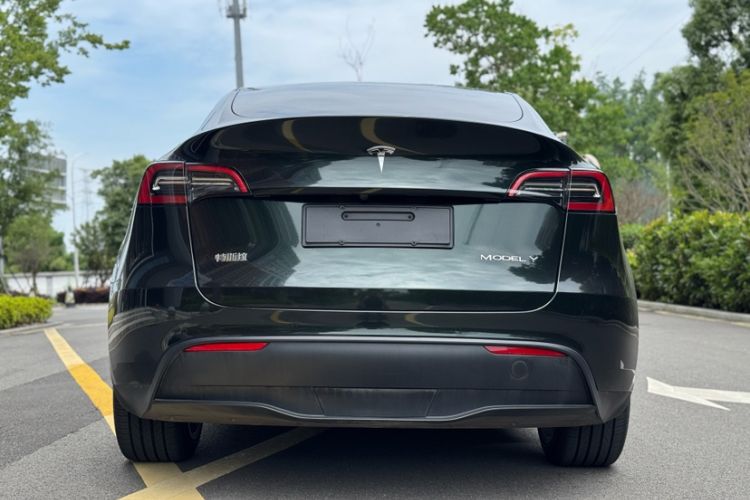 Used Tesla Model Y 2021 Long-Range All-Wheel-Drive Version
