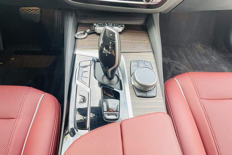 Used BMW 5 Series New Energy 2022 535Le Luxury Package
