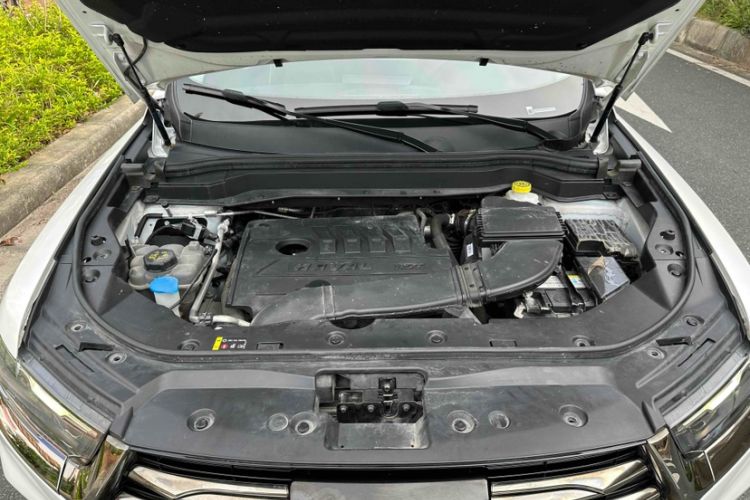 Used Haval H6 2021 National Trend Edition 1.5T Automatic Urban Version
