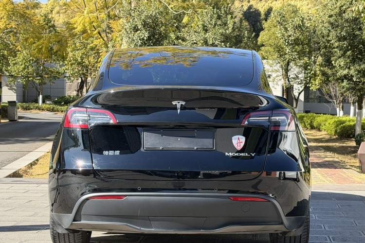 Used Tesla Model Y 2021 Standard Range Rear-Wheel Drive Version