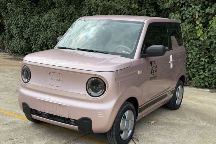 Used  Panda 2023 Panda Mini 200km Endurance Bear
