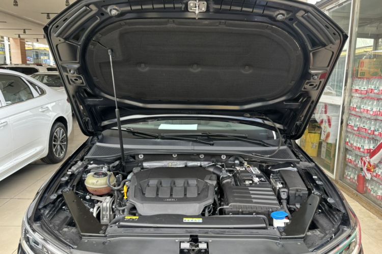 Used Volkswagen Magotan 2020 330TSI DSG Leading Model