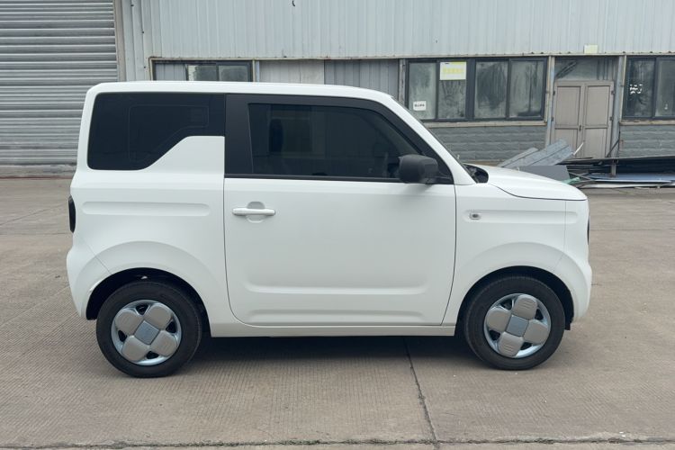 Used  Panda 2024 Panda Mini 200km Endurance Bear
