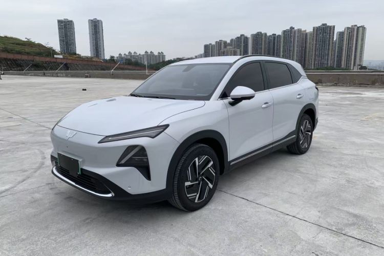 Used Wuling Xingguang S 2024 130km Flagship Version
