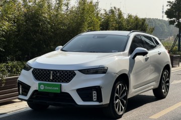 Used Wey VV7 2020 2.0T Ultra-Luxury Version