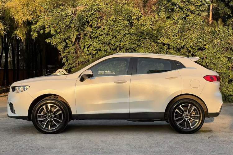 Used Wey VV5 2020 1.5T Two-Wheel Drive Smart Pioneer