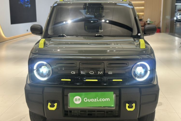 Used  Panda 2024 200km Panda Rider
