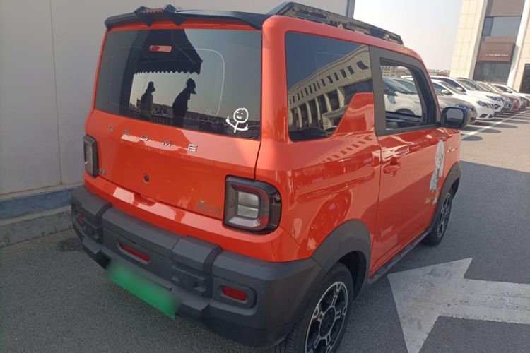 Used  Panda 2024 200km Panda Rider
