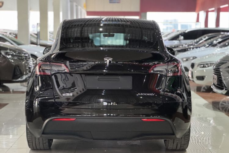 Used Tesla Model Y 2021 Standard Range Rear-Wheel Drive Version
