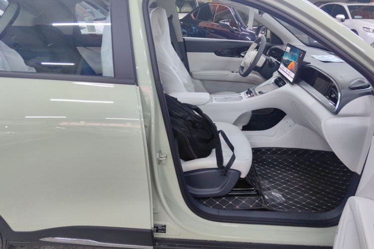 Used  Geome 2025 310km Dream Edition
