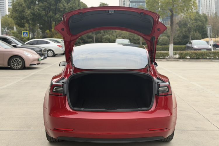 Used Tesla Model 3 2019 Standard Range Rear-Drive Upgraded Version

