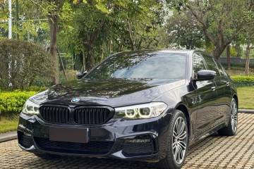 Used BMW 5 Series 2019 530Li Leading Model M Sport Package