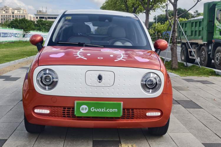 Used ORA Black Cat 2019 351 km Goddess Edition
