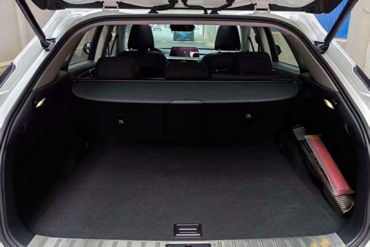 Used Lexus RX 2020 Revised Version 300 Two-Wheel Drive Elite Edition
