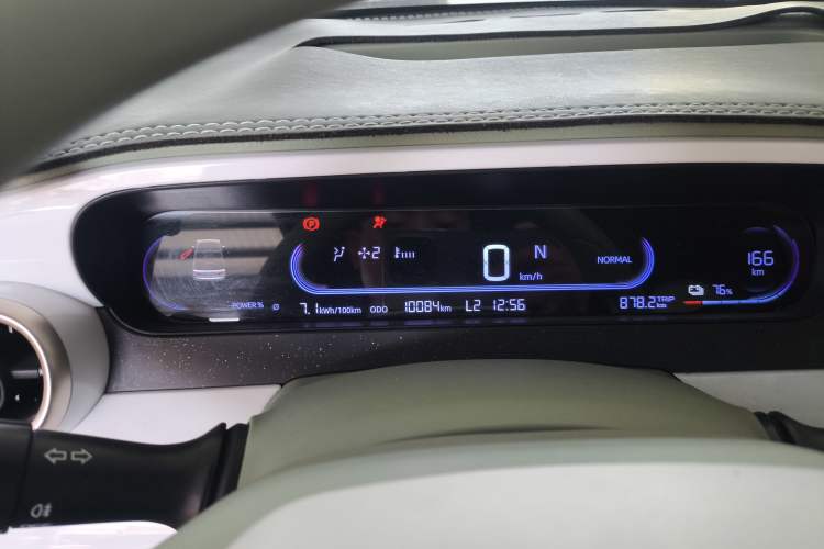 Used  Panda 2024 200km Panda Rider
