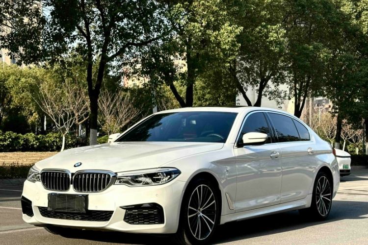 Used BMW 5 Series 2020 530Li Leading Model M Sport Package