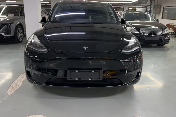Used Tesla Model Y 2021 Standard Range Rear-Wheel Drive Version
