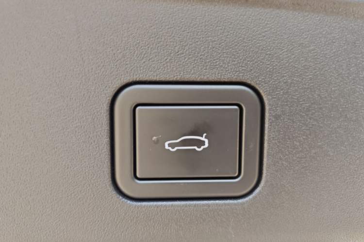 Used  07 2024 Max Pure Electric Edition
