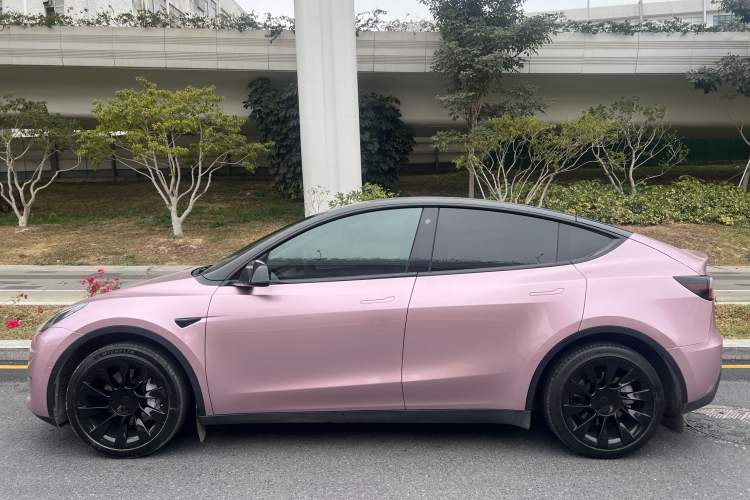 Used Tesla Model Y 2021 Standard Range Rear-Wheel Drive Version