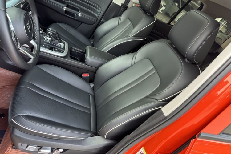 Used Tank 300 2024 2.0T Crosser
