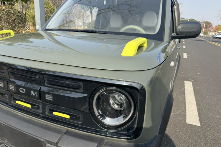 Used  Panda 2025 210km Panda Rider
